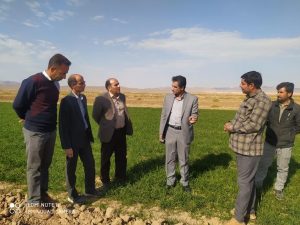 بازدید مدیر جهاد کشاورزی از روند کشت پاییزه در شهرستان بردسکن